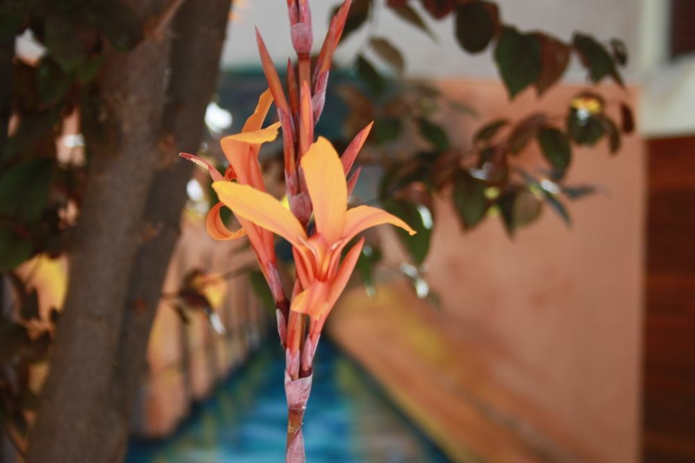 B&B "Domus Atilia" Sagunto Buitenkant foto